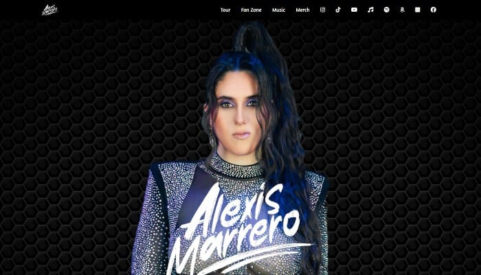 Alexis Marrero Pop Artist