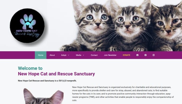 New Hope Cat Sanctuary