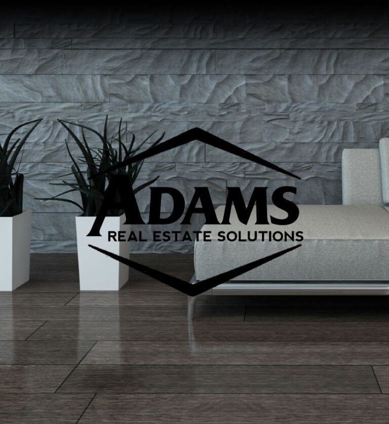 Webvato Website designs